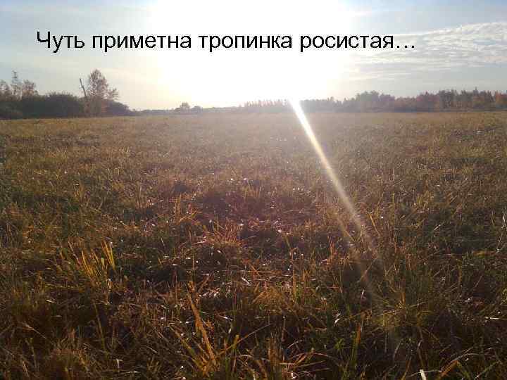 Чуть приметна тропинка росистая… 