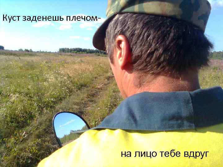 Куст заденешь плечом- на лицо тебе вдруг 