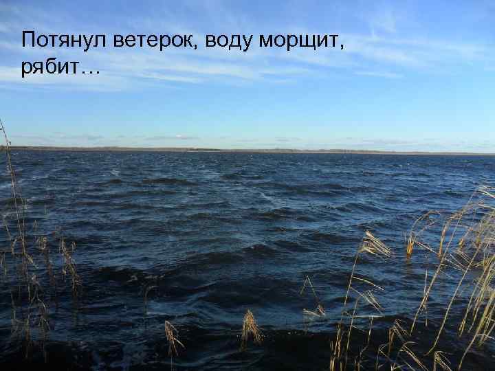 Потянул ветерок, воду морщит, рябит… 