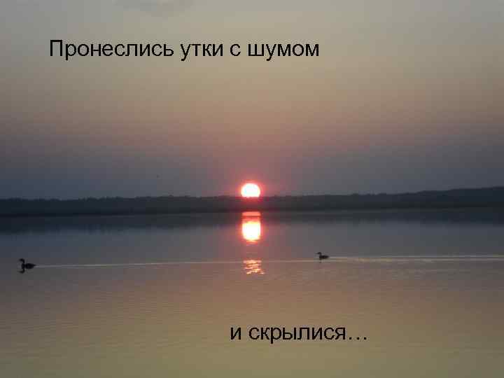 Пронеслись утки с шумом и скрылися… 