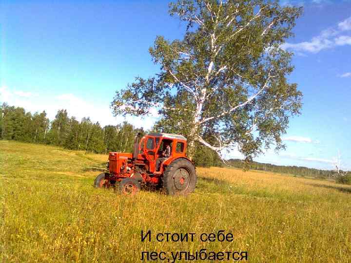 И стоит себе лес, улыбается 