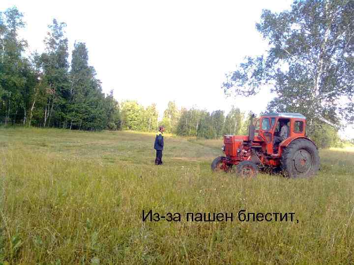 Из-за пашен блестит, 