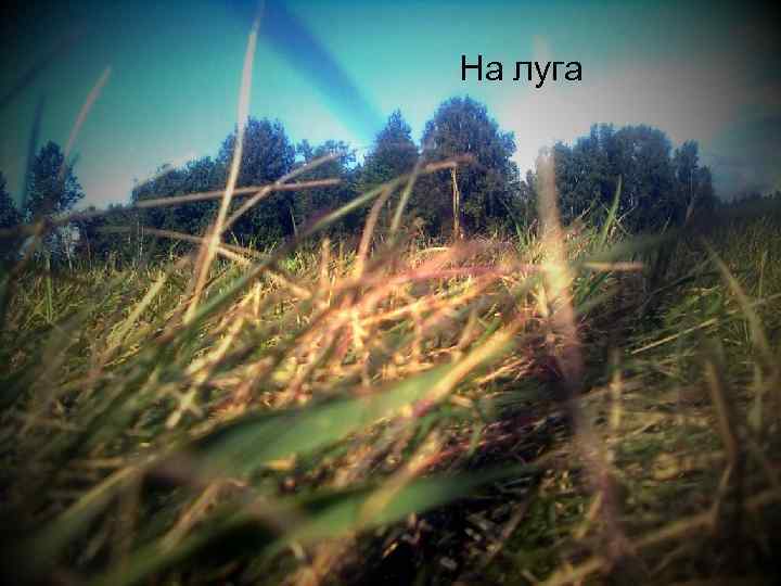 На луга 
