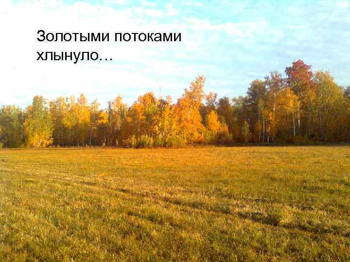 Золотыми потоками хлынуло… 