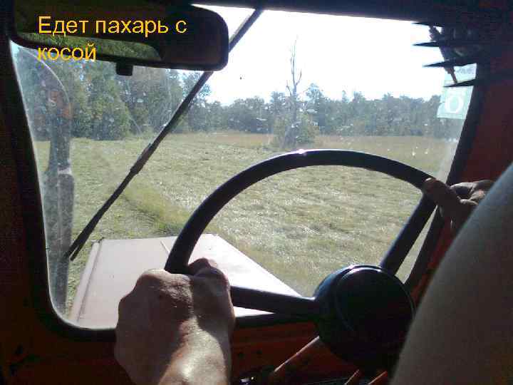 Едет пахарь с косой 
