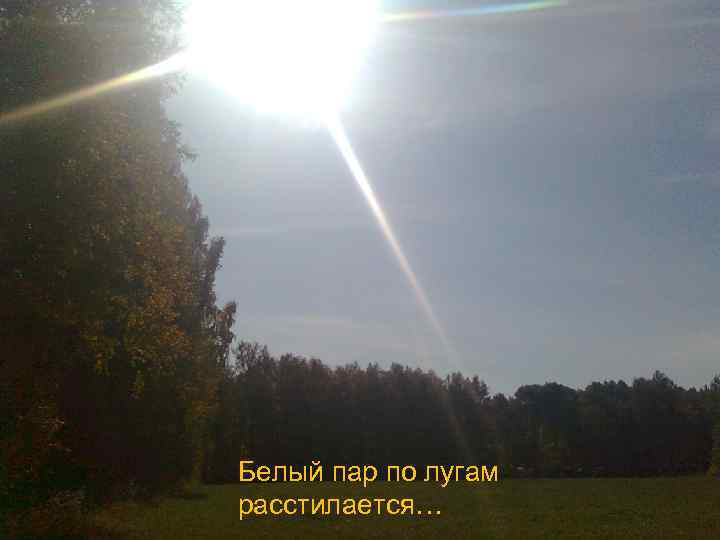 Белый пар по лугам расстилается… 