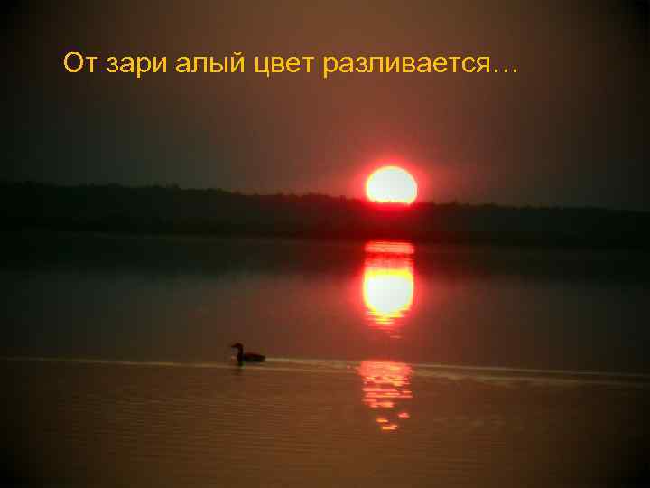 От зари алый цвет разливается… 