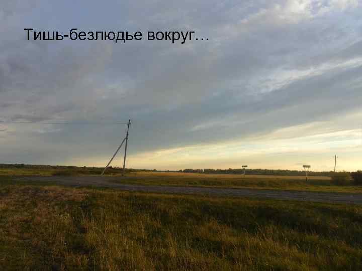 Тишь-безлюдье вокруг… 