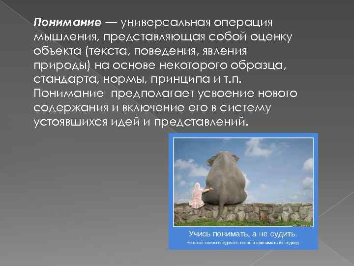 Понимание — универсальная операция мышления, представляющая собой оценку объекта (текста, поведения, явления природы) на