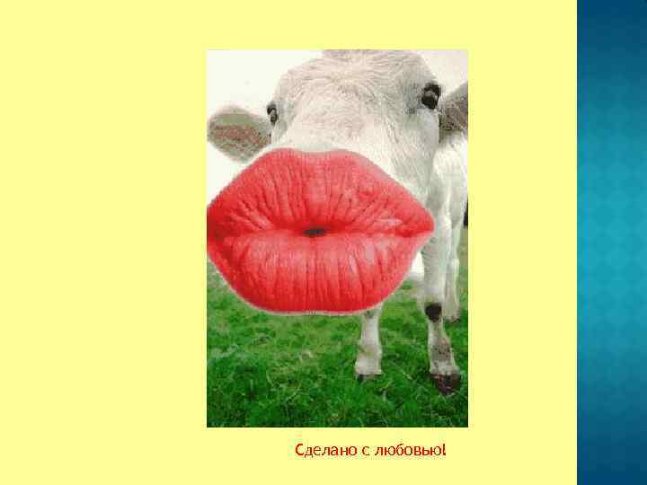 Сделано с любовью! 