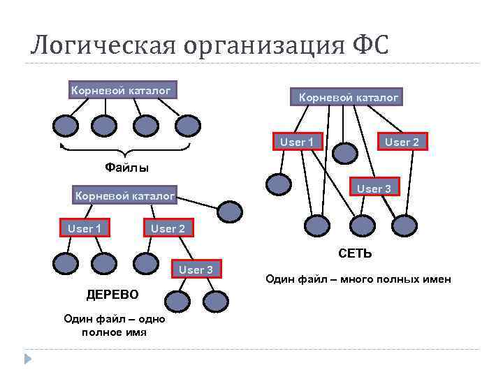 Логическая система организации