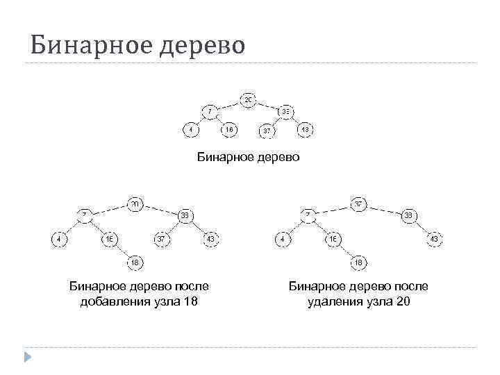 Бинарное дерево после добавления узла 18 Бинарное дерево после удаления узла 20 