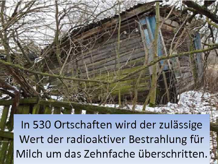In 530 Ortschaften wird der zulässige Wert der radioaktiver Bestrahlung für Milch um das