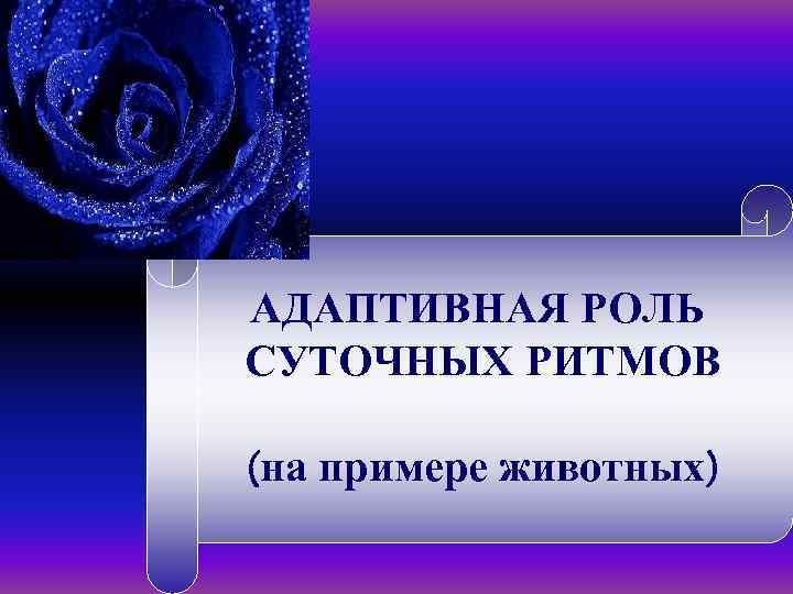 АДАПТИВНАЯ РОЛЬ СУТОЧНЫХ РИТМОВ (на примере животных) 
