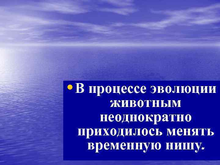  • В процессе эволюции животным неоднократно приходилось менять временную нишу. 