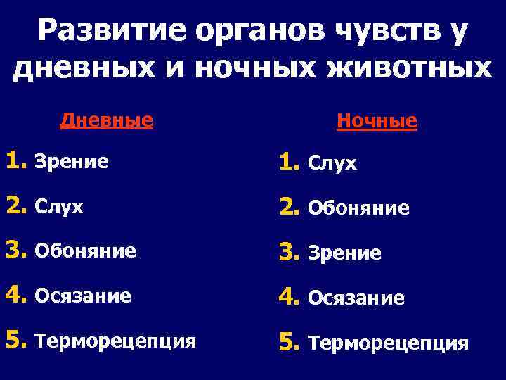 Развитие органов чувств у дневных и ночных животных Дневные Ночные 1. Зрение 1. Слух