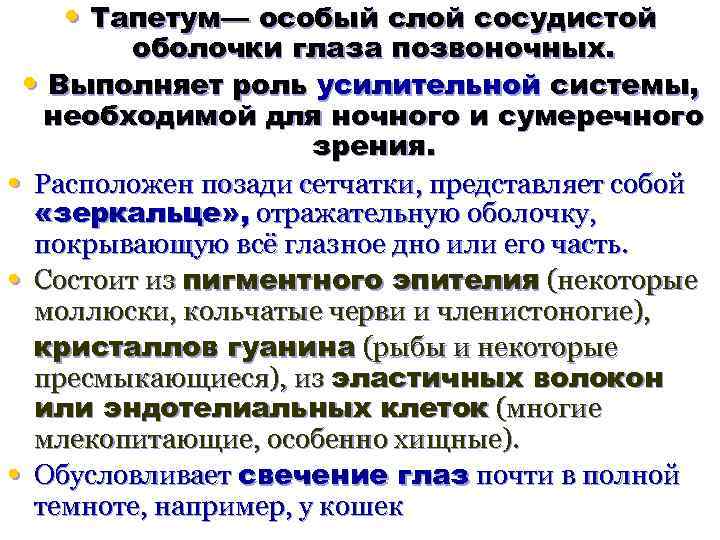 • Тапетум— особый слой сосудистой оболочки глаза позвоночных. • Выполняет роль усилительной системы,