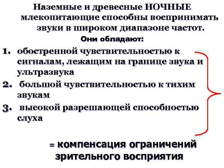 Наземные и древесные НОЧНЫЕ млекопитающие способны воспринимать звуки в широком диапазоне частот. Они обладают:
