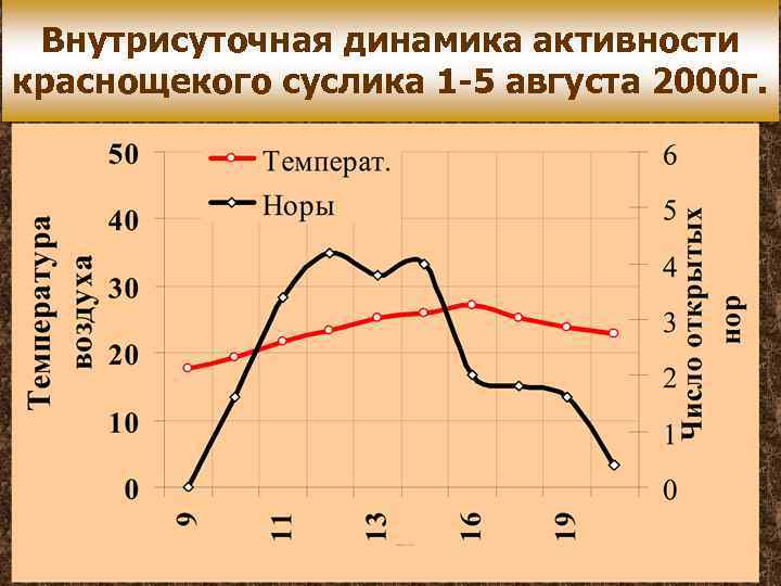 Внутрисуточная динамика активности краснощекого суслика 1 -5 августа 2000 г. 