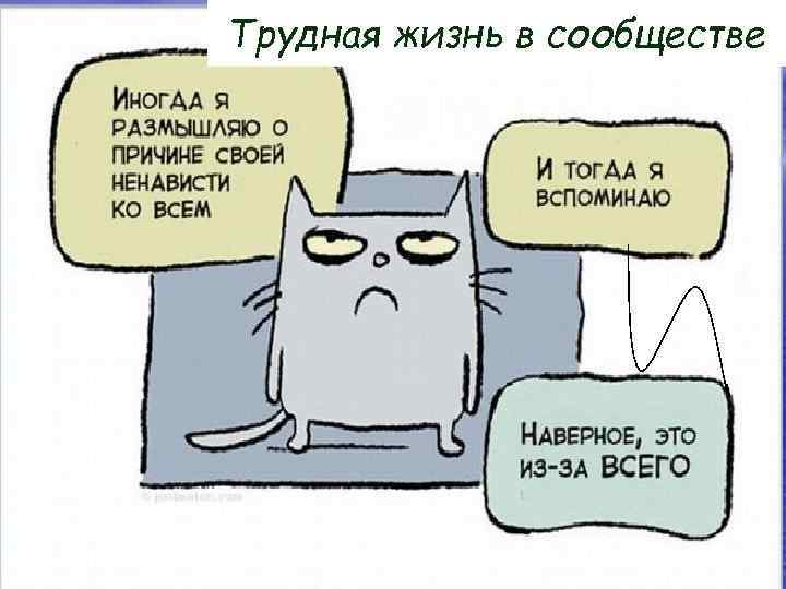 Трудная жизнь в сообществе 