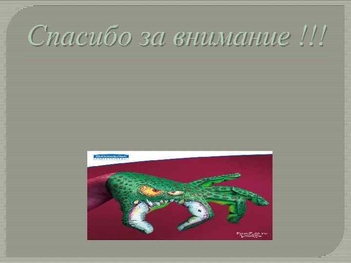 Спасибо за внимание !!! 