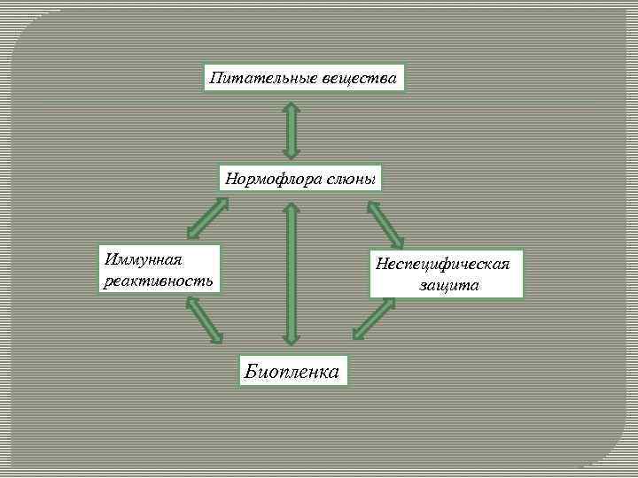 Питательные вещества Нормофлора слюны Иммунная реактивность Неспецифическая защита Биопленка 
