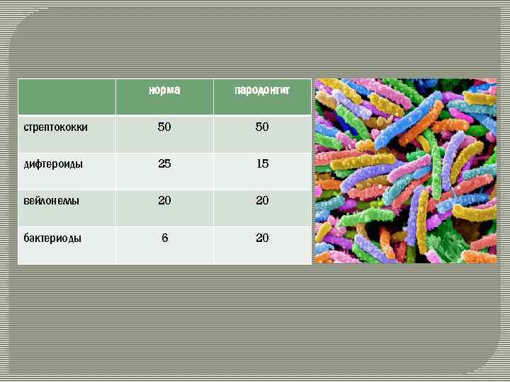 норма пародонтит стрептококки 50 50 дифтероиды 25 15 вейлонеллы 20 20 бактериоды 6 20