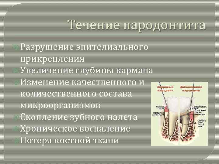 Течение пародонтита Разрушение эпителиального прикрепления Увеличение глубины кармана Изменение качественного и количественного состава микроорганизмов