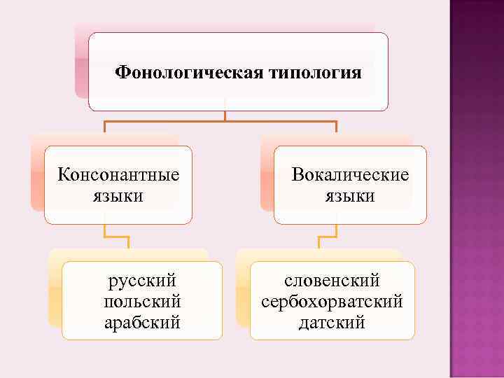 Типология языков. Фонологическая классификация языков. Фонологическая типология. Фонологическая типология языков. Вокалические и консонантные языки.