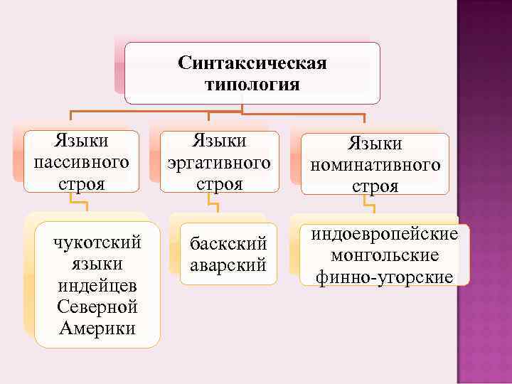 Типология языковых картин мира