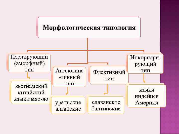 Происхождение языков мира схема