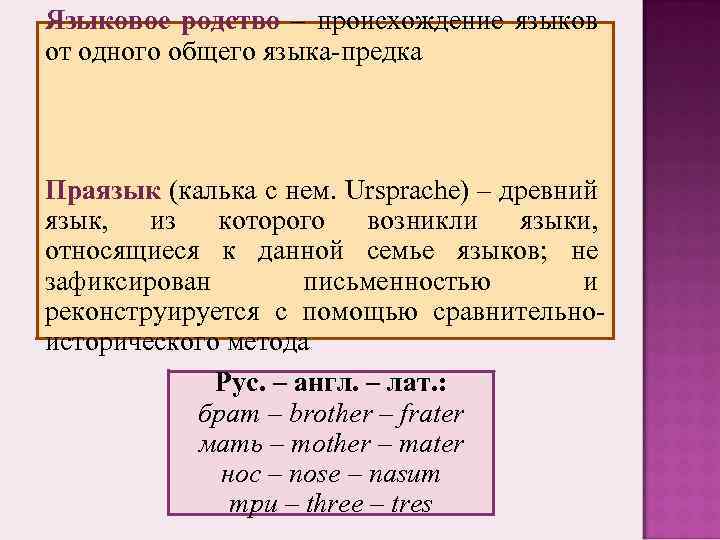 Стоимость Перевода Древних Языков