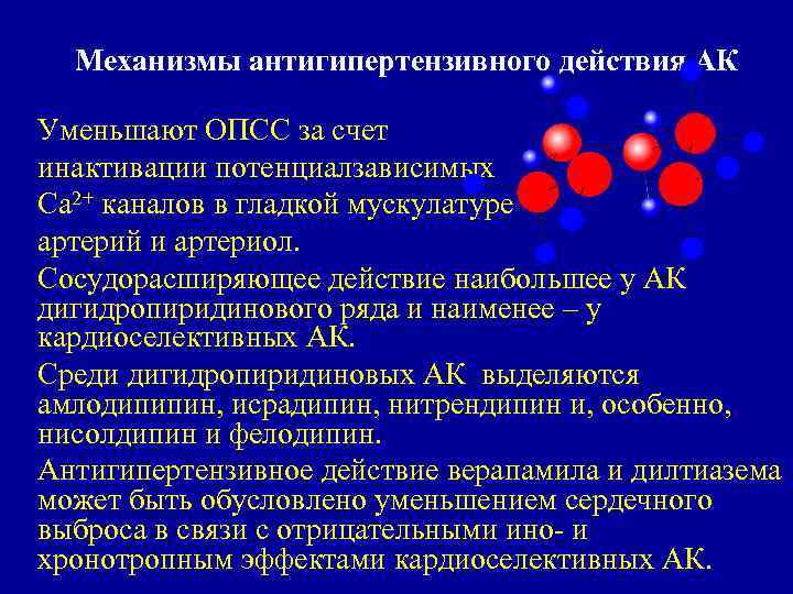 Механизмы антигипертензивного действия АК Уменьшают ОПСС за счет инактивации потенциалзависимых Са 2+ каналов в