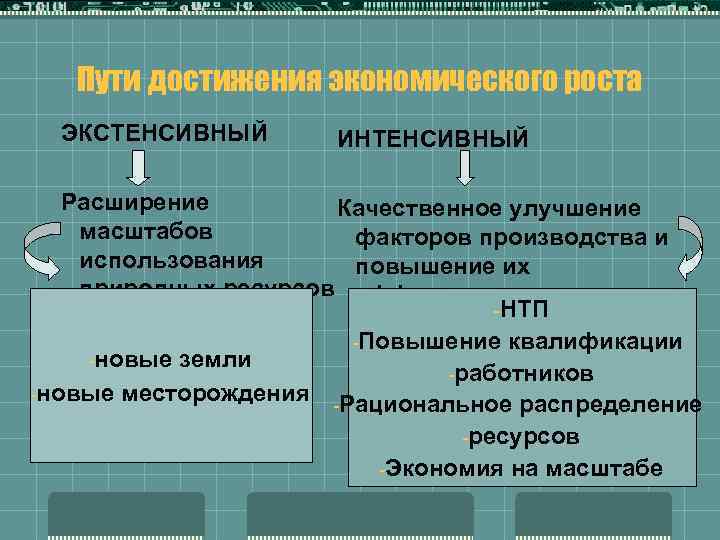 1 интенсивный рост 2 экстенсивный рост