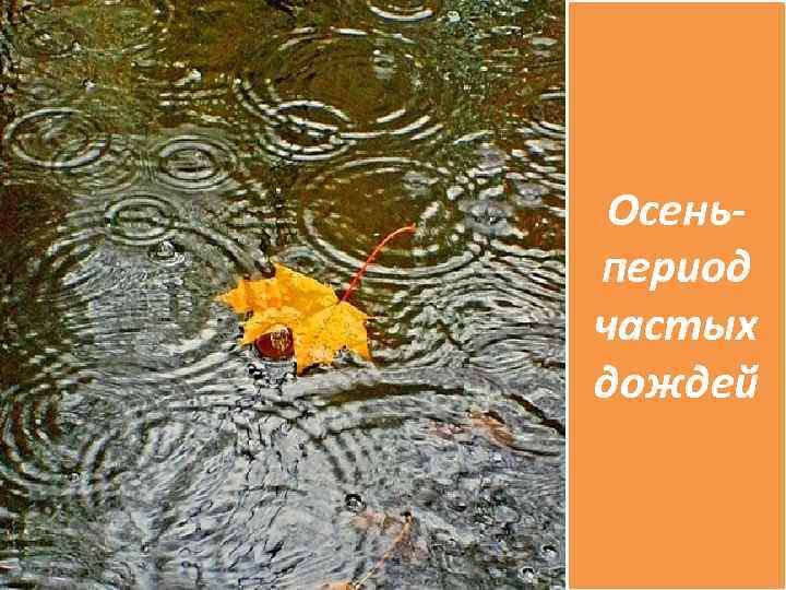 Осеньпериод частых дождей 