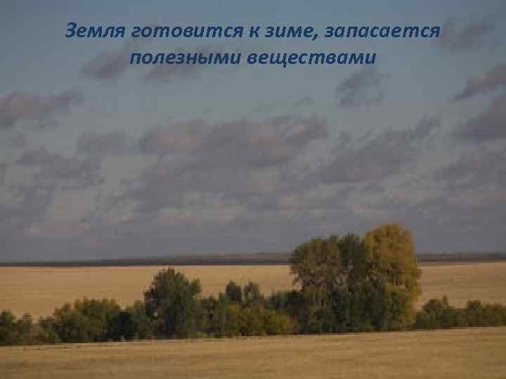 Земля готовится к зиме, запасается полезными веществами 