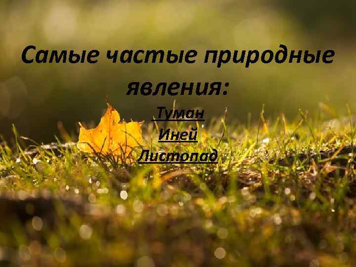 Самые частые природные явления: Туман Иней Листопад 