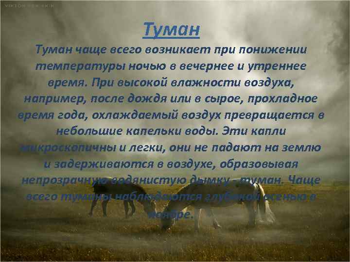 Туман чаще всего возникает при понижении температуры ночью в вечернее и утреннее время. При