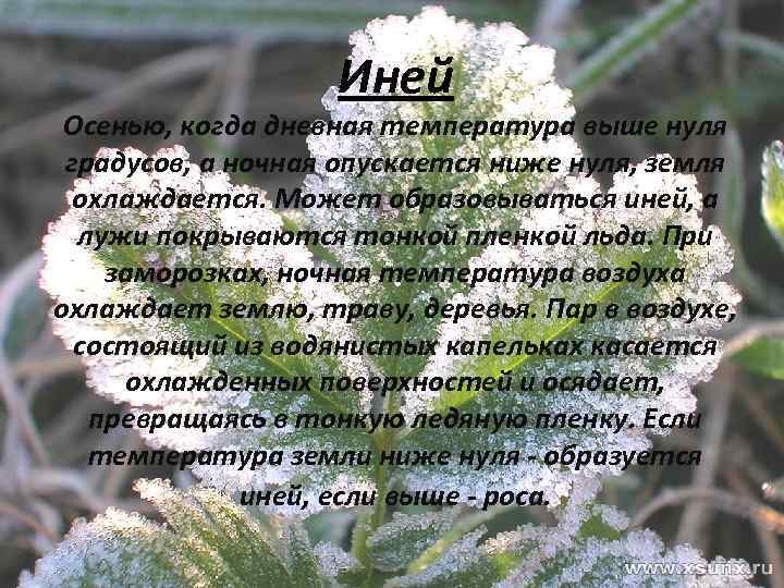 Иней Осенью, когда дневная температура выше нуля градусов, а ночная опускается ниже нуля, земля