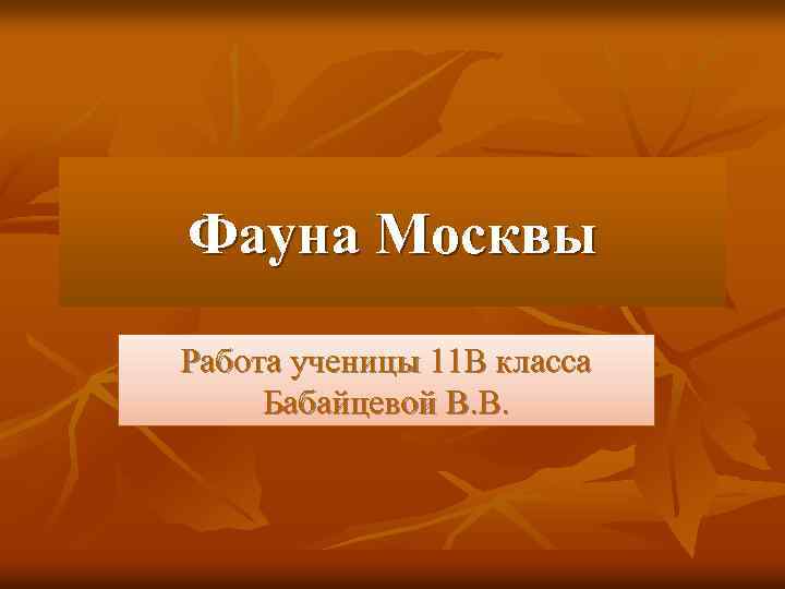 Фауна Москвы Работа ученицы 11 В класса Бабайцевой В. В. 