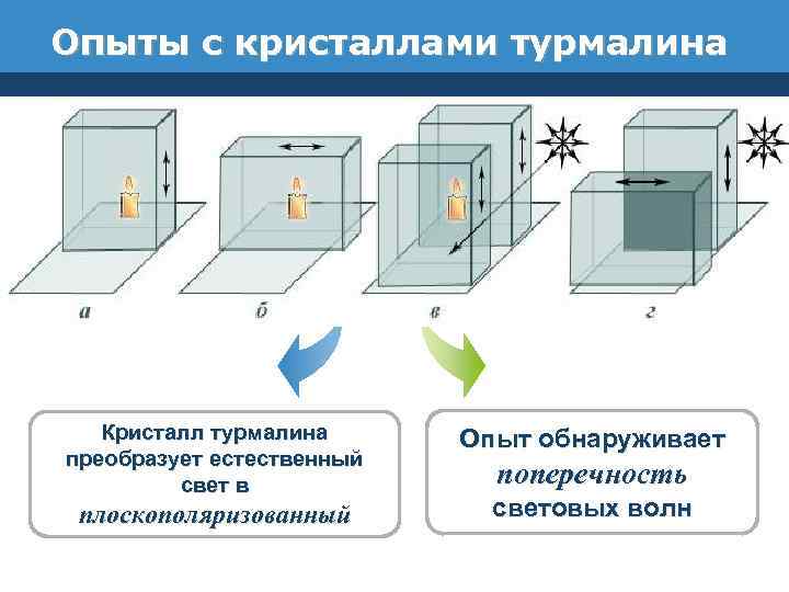 Опыты с кристаллами турмалина Кристалл турмалина преобразует естественный свет в плоскополяризованный Опыт обнаруживает поперечность