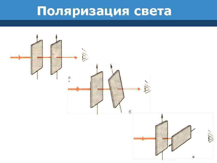 Поляризация света 