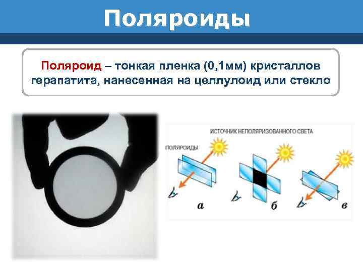 Поляроиды Поляроид – тонкая пленка (0, 1 мм) кристаллов герапатита, нанесенная на целлулоид или
