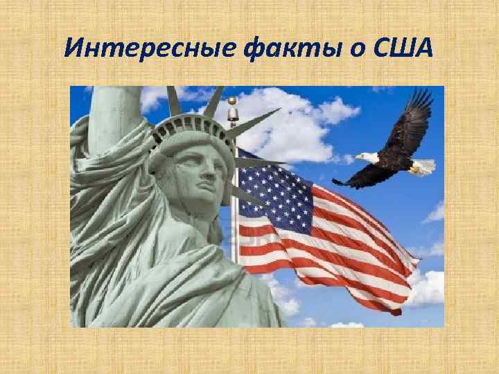 Проект по сша