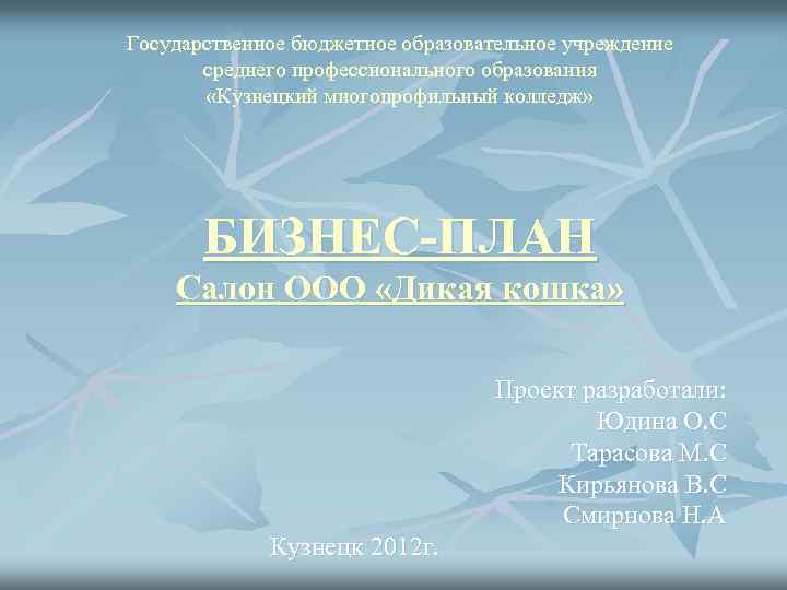 Государственное бюджетное образовательное учреждение среднего профессионального образования «Кузнецкий многопрофильный колледж» БИЗНЕС-ПЛАН Салон ООО «Дикая