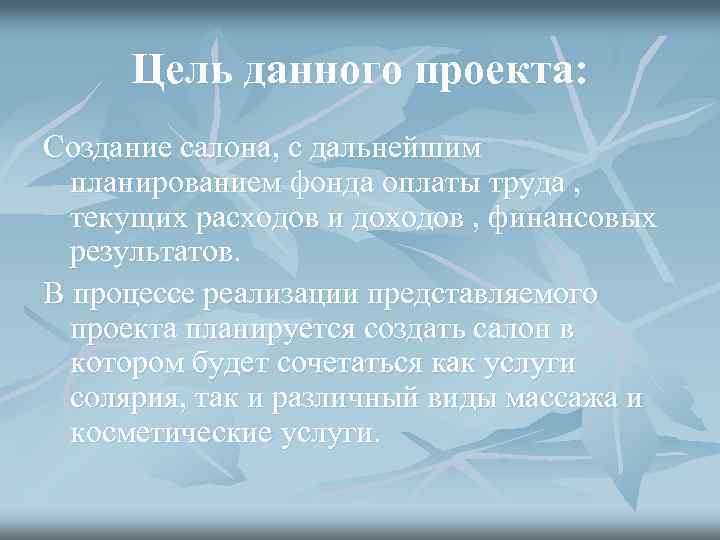 Цель данного проекта: Создание салона, с дальнейшим планированием фонда оплаты труда , текущих расходов