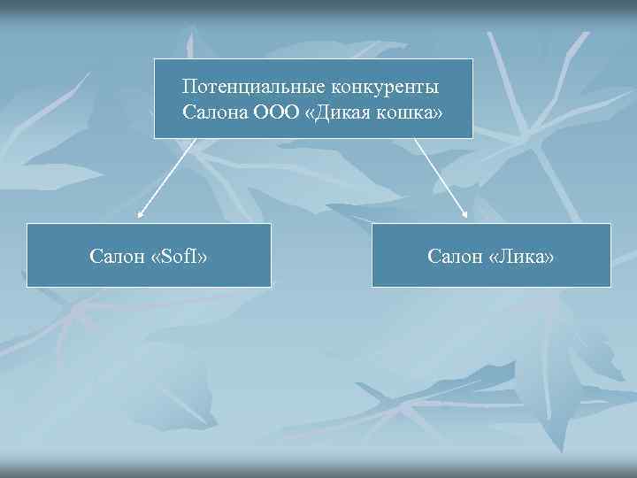 Потенциальные конкуренты Салона ООО «Дикая кошка» Салон «Sof. I» Салон «Лика» 