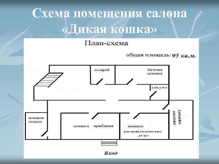 Схема помещения салона «Дикая кошка» 