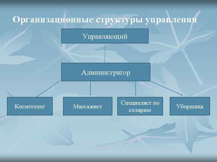 Организационные структуры управления Управляющий Администратор Косметолог Массажист Специалист по солярию Уборщица 