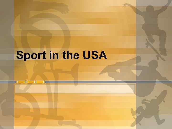 Sport in the USA 